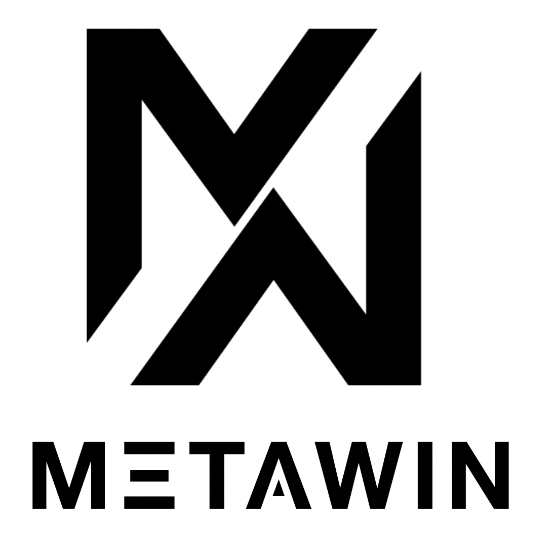 MetaWin